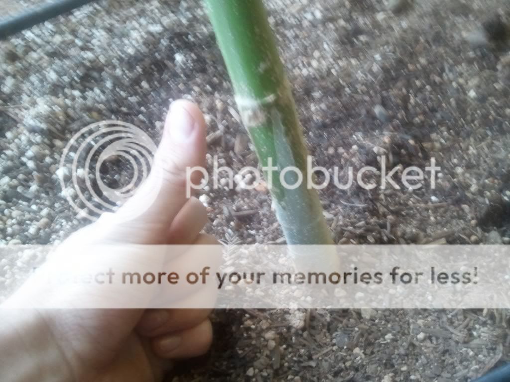 WP_000261.jpg