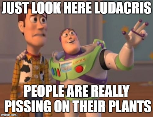 298u42.jpg