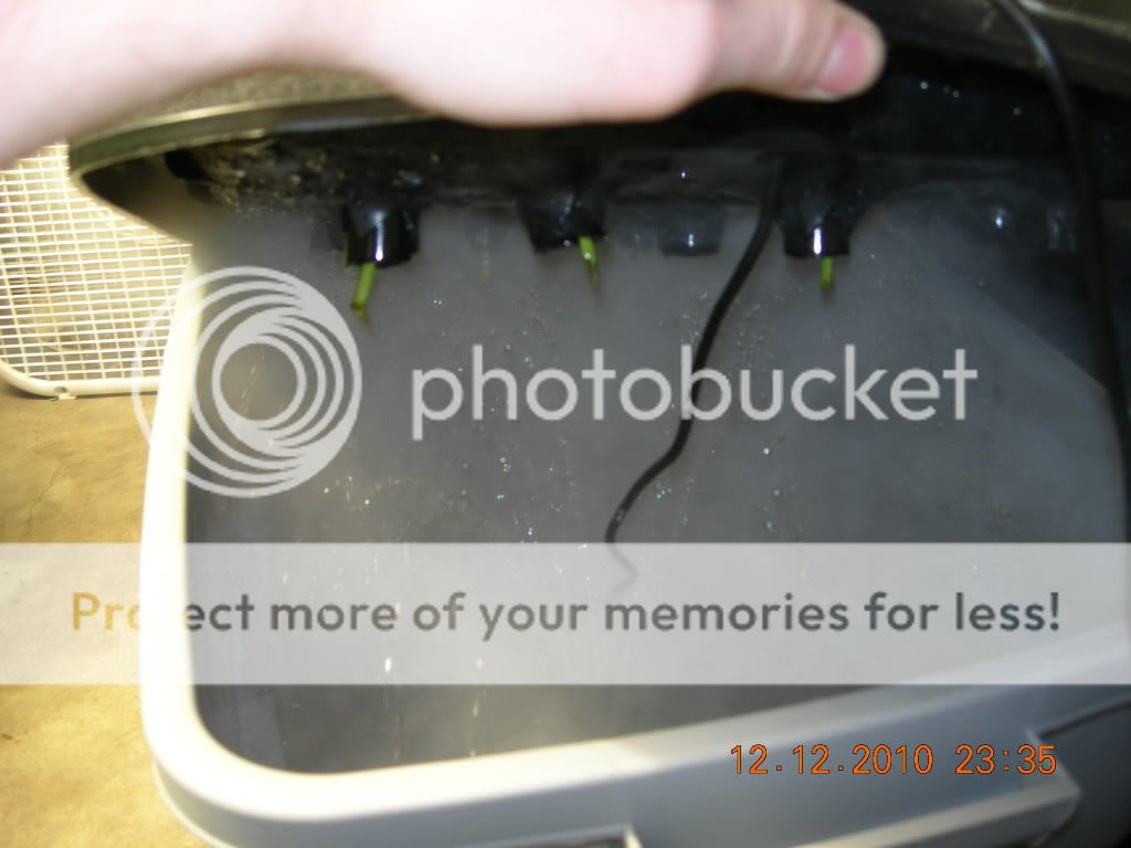 DSCN6955.jpg