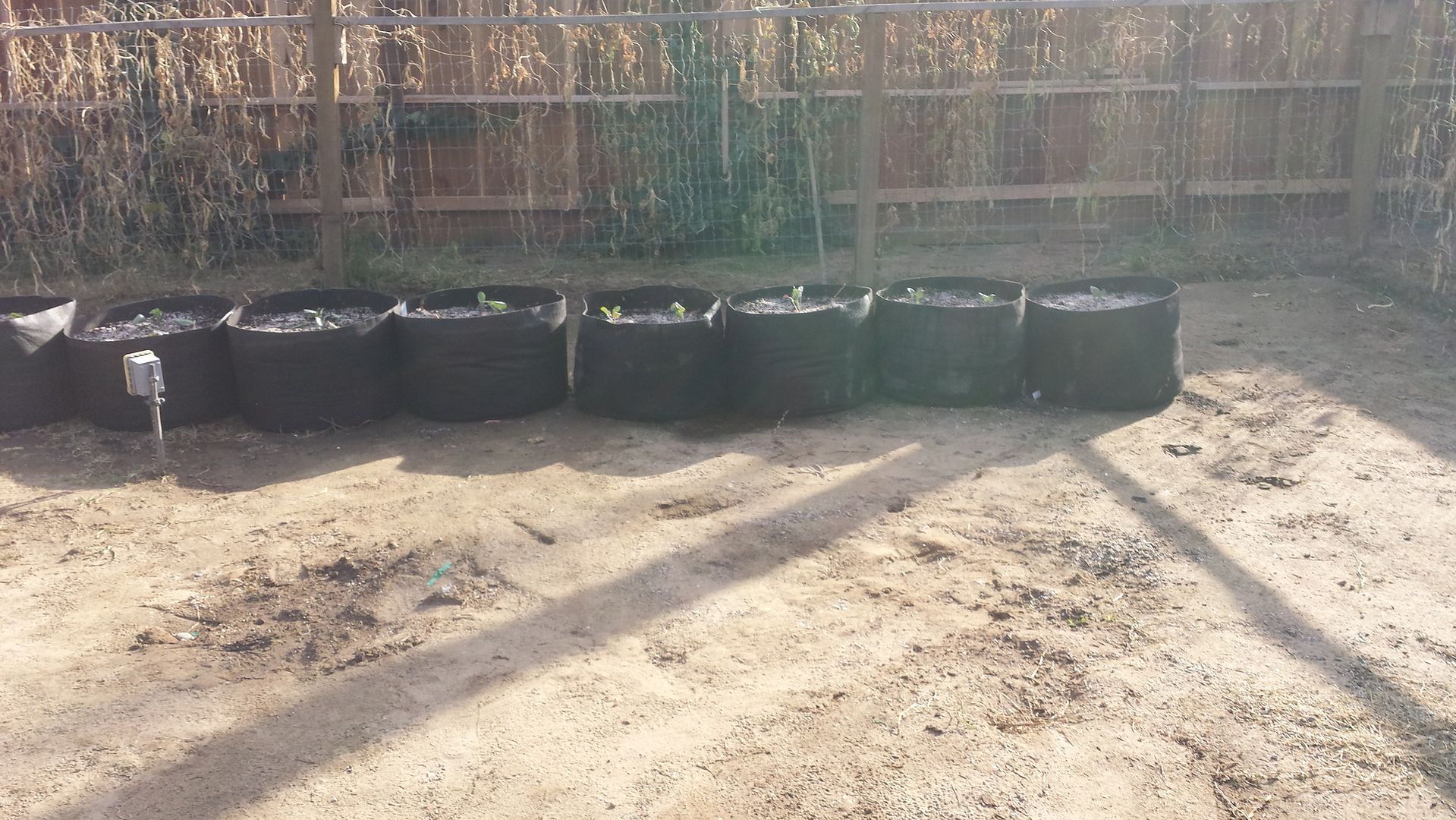 20131105_143141.jpg