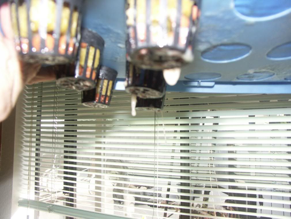 PICT1593.jpg