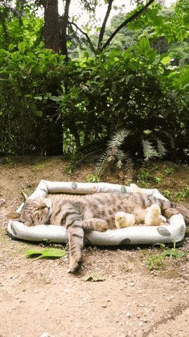 1656364218_12.gif