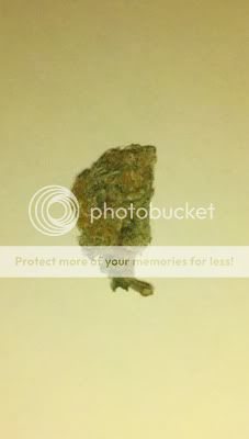 2011-10-07_18-58-46_731.jpg