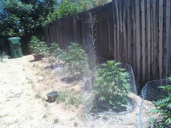 downsized_0630011212.jpg