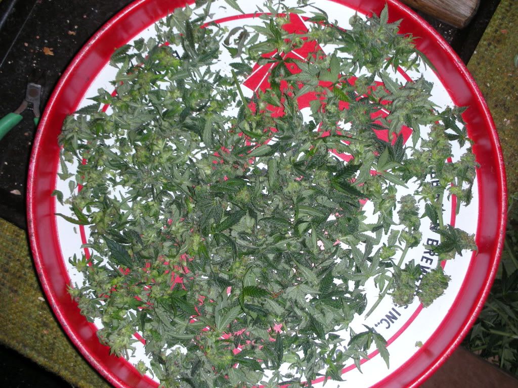 DSCN2615.jpg