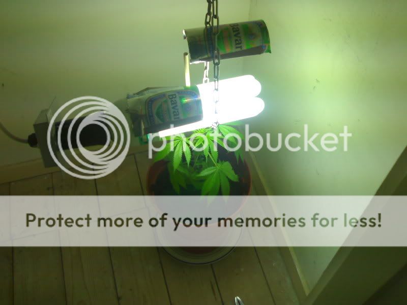 21092007162.jpg