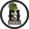 f1geneticsseeds.com