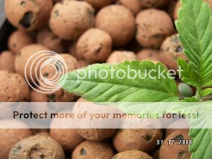PICT0040.jpg