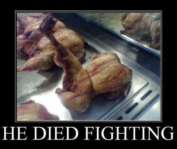 demotivators_picdump_23.jpg