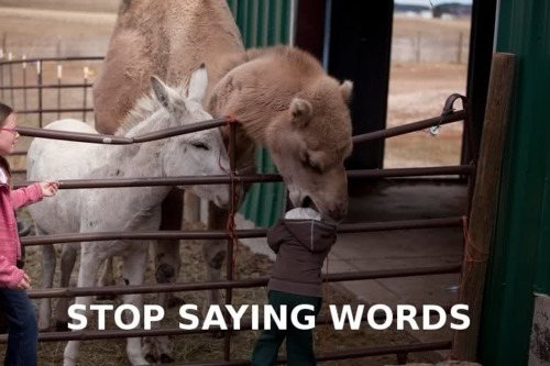 tumblr_m63rurmo3I1qh9wyj.jpg