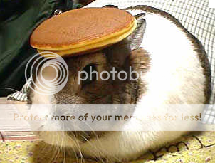 pancakerab.png
