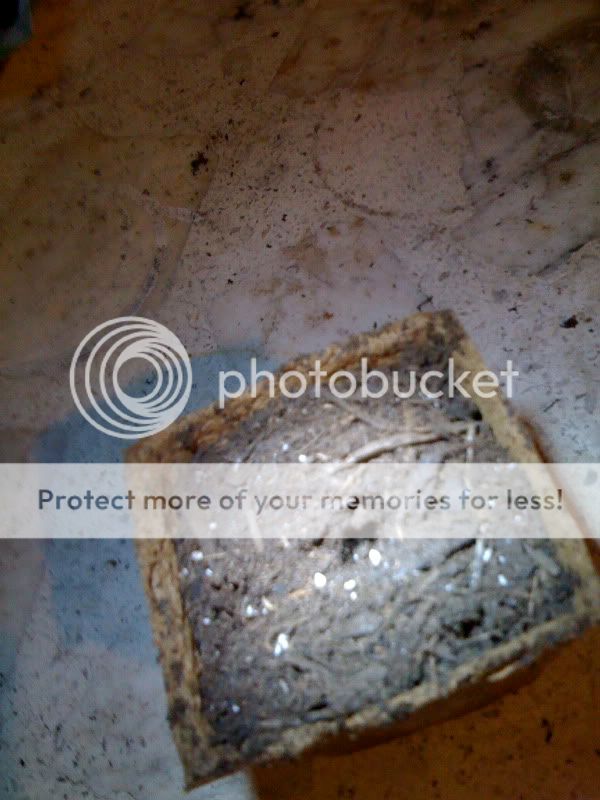 IMG_1582.jpg