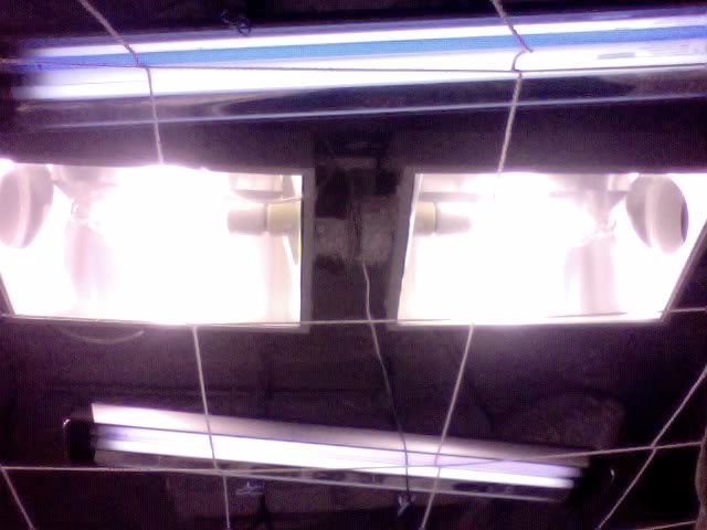 Photo15-4.jpg