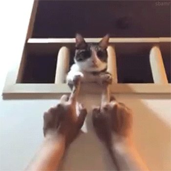gifs_19.gif