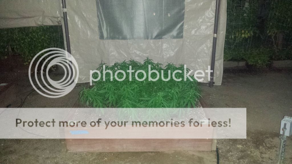 20150607_210213.jpg