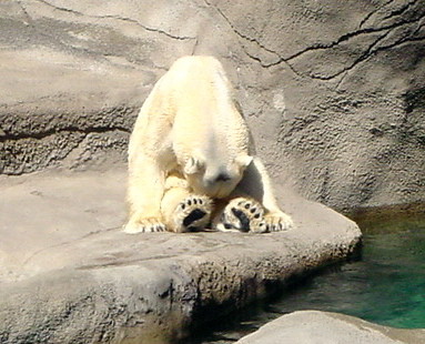 2980313434_5fb1029d05.jpg