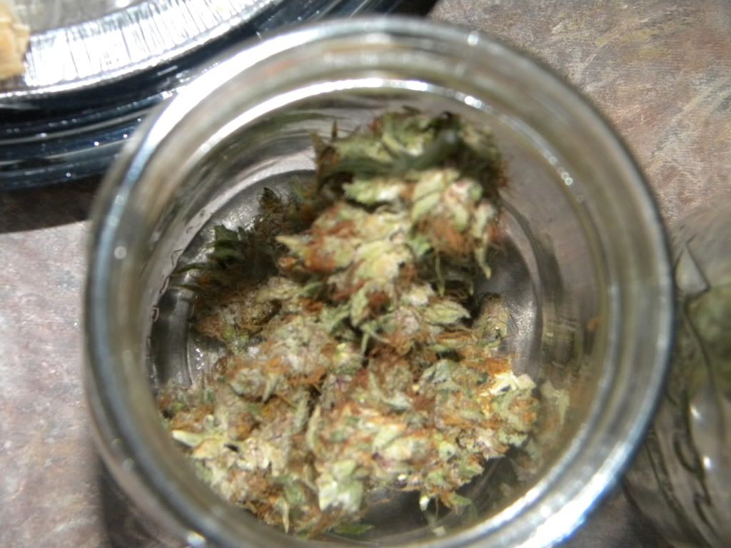 DSCN0621.jpg