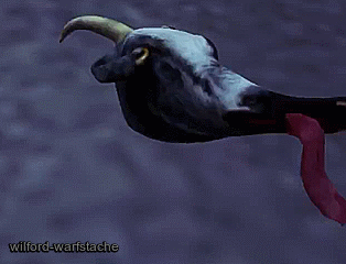 4fd.gif