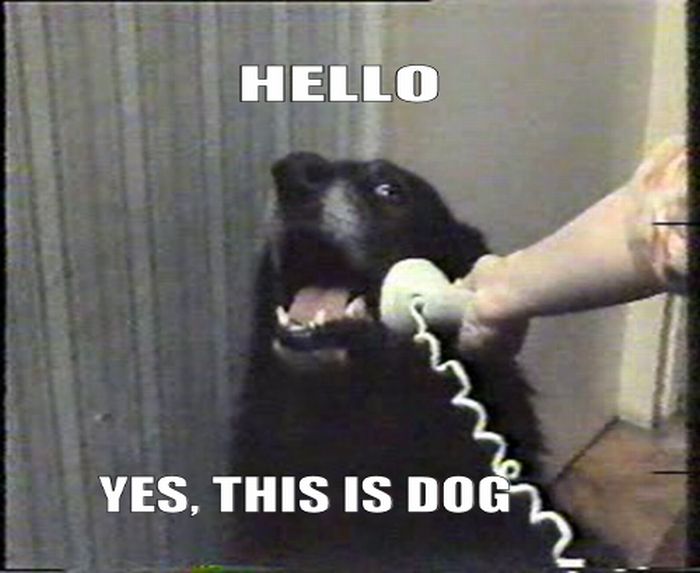 acid_picdump_68.jpg