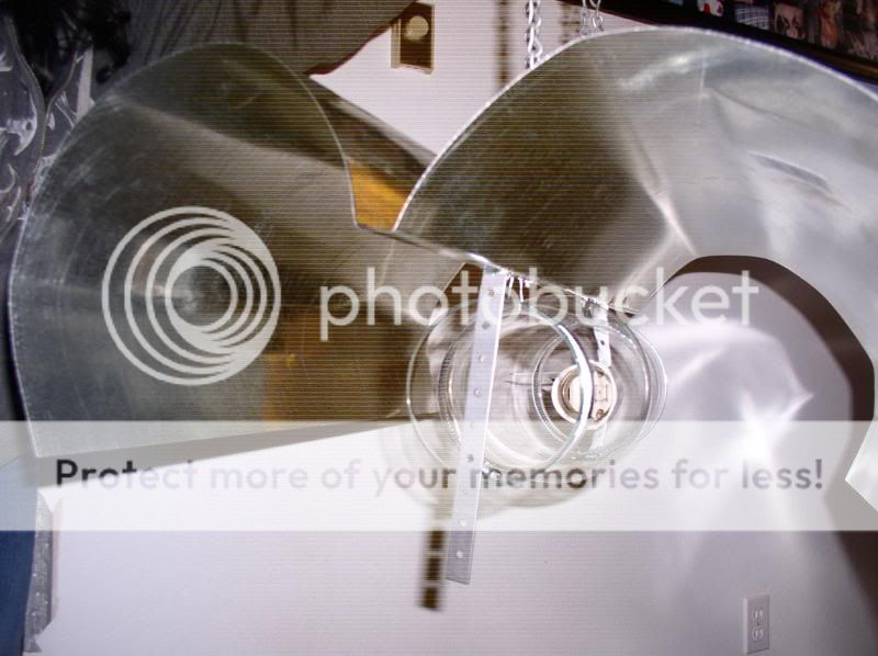 P1010028-3.jpg
