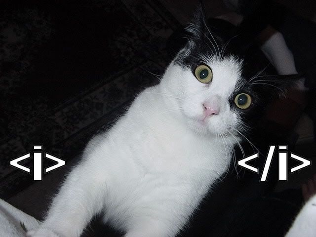italic_cat.jpg