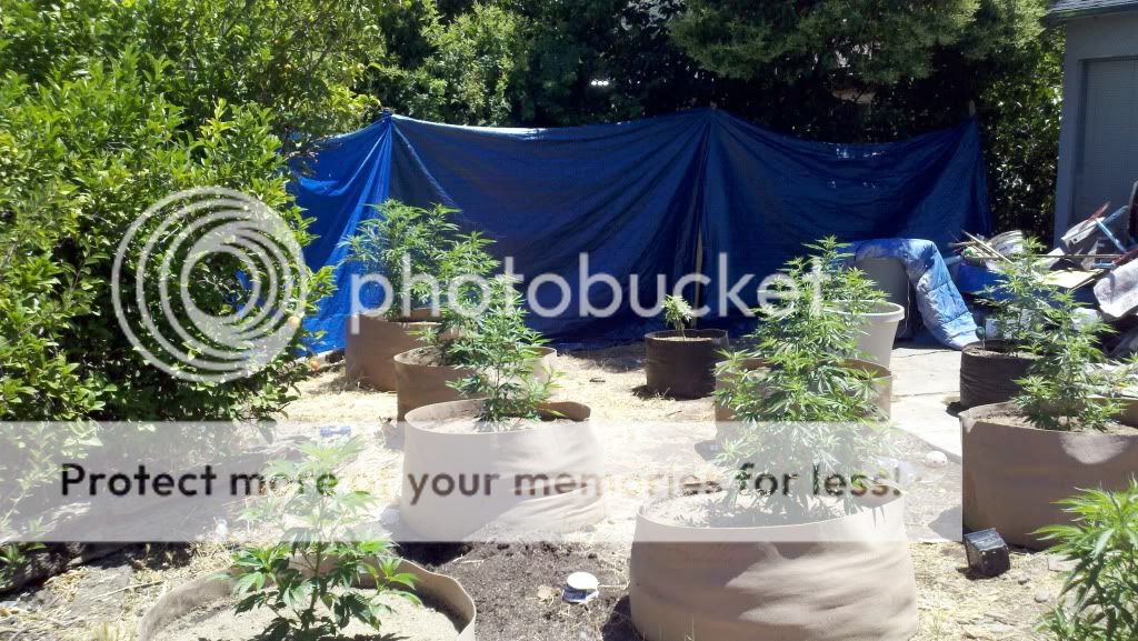 2011-06-24_13-44-57_212.jpg