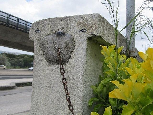 2f1.jpg
