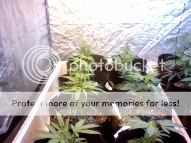 Photo66.jpg