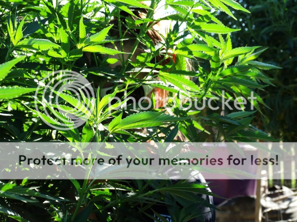 DSC05095_zpse4cc1efa.jpg