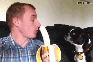 1355768377_sharing_banana_with_dog.gif