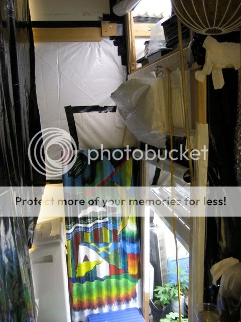 IMG_0879.jpg