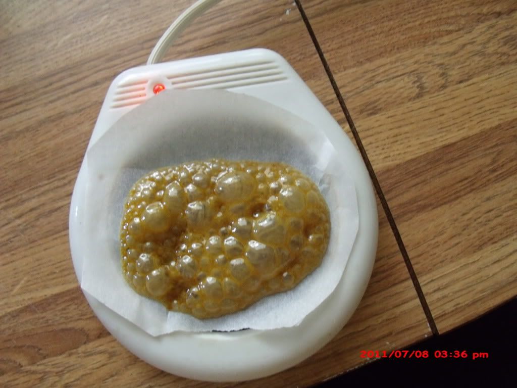 GEDC0985.jpg