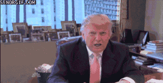 gifs_09.gif