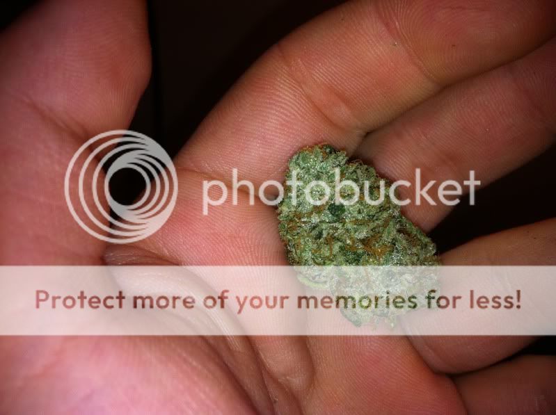 bubbacured.jpg