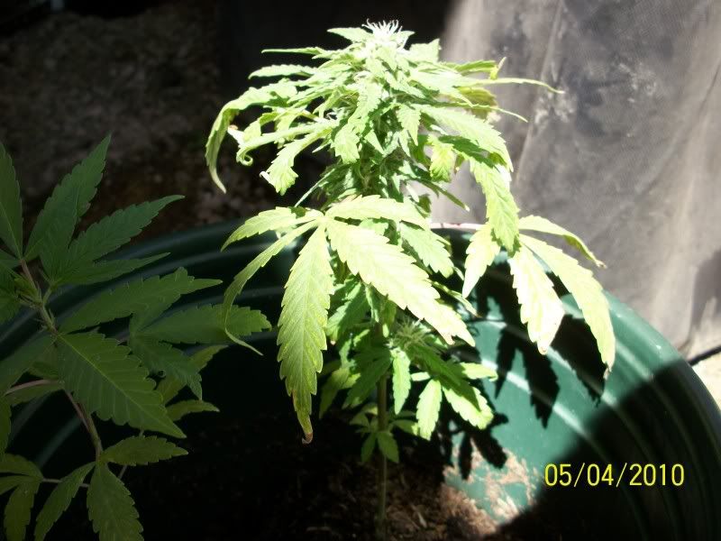 100_0461.jpg