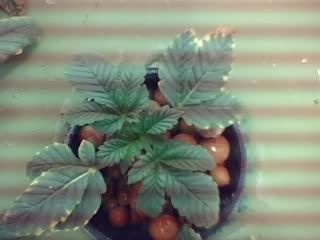 02-03-08_0850-1.jpg