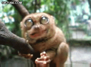 kahwu.gif
