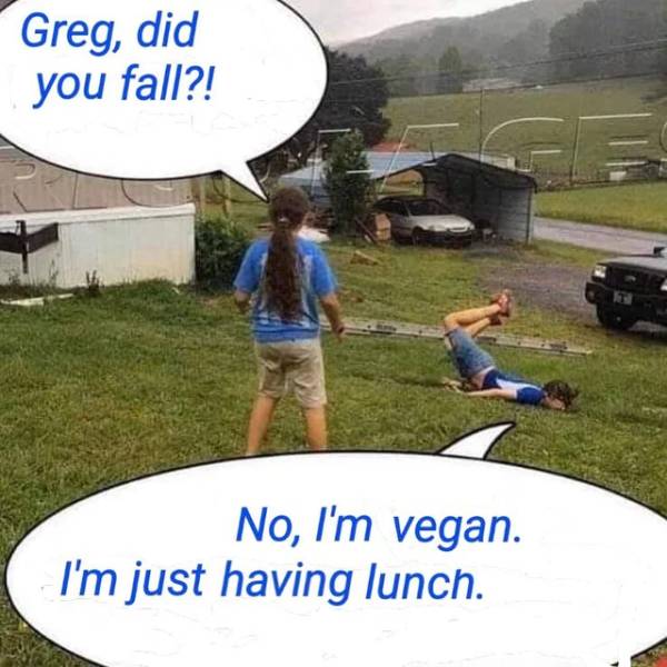 nldnfgl_74.jpg