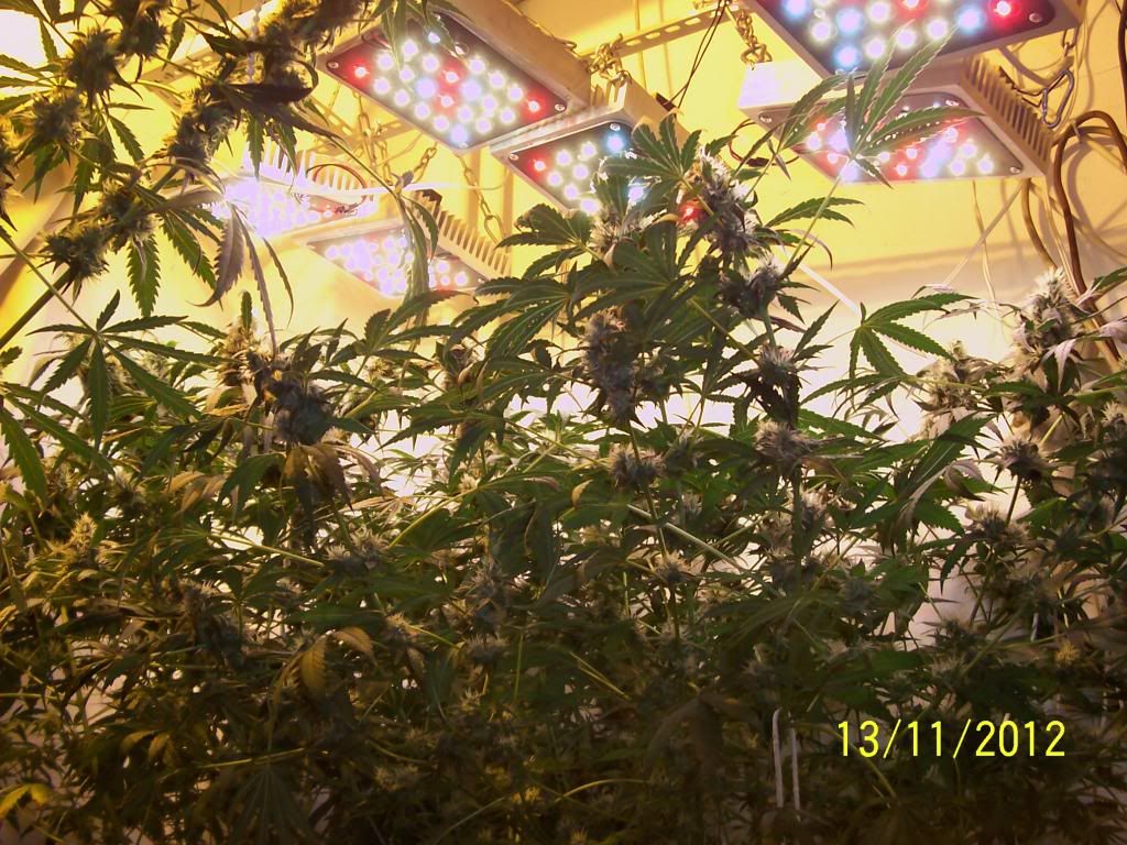 100_2884.jpg