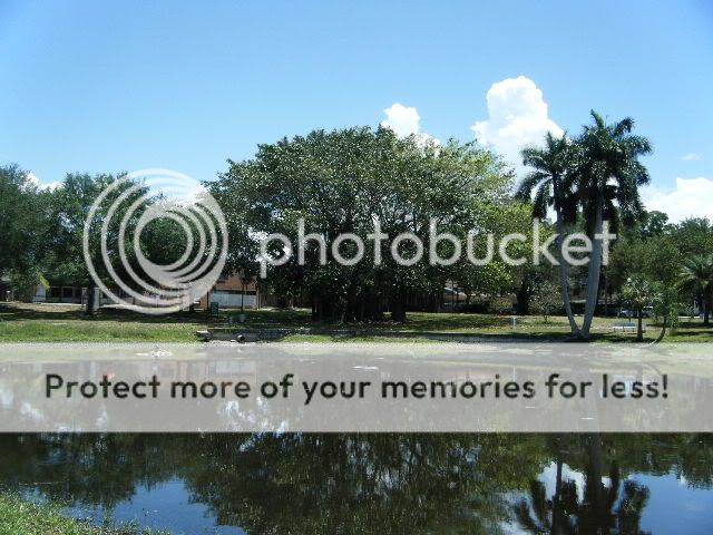 DSCF0830.jpg