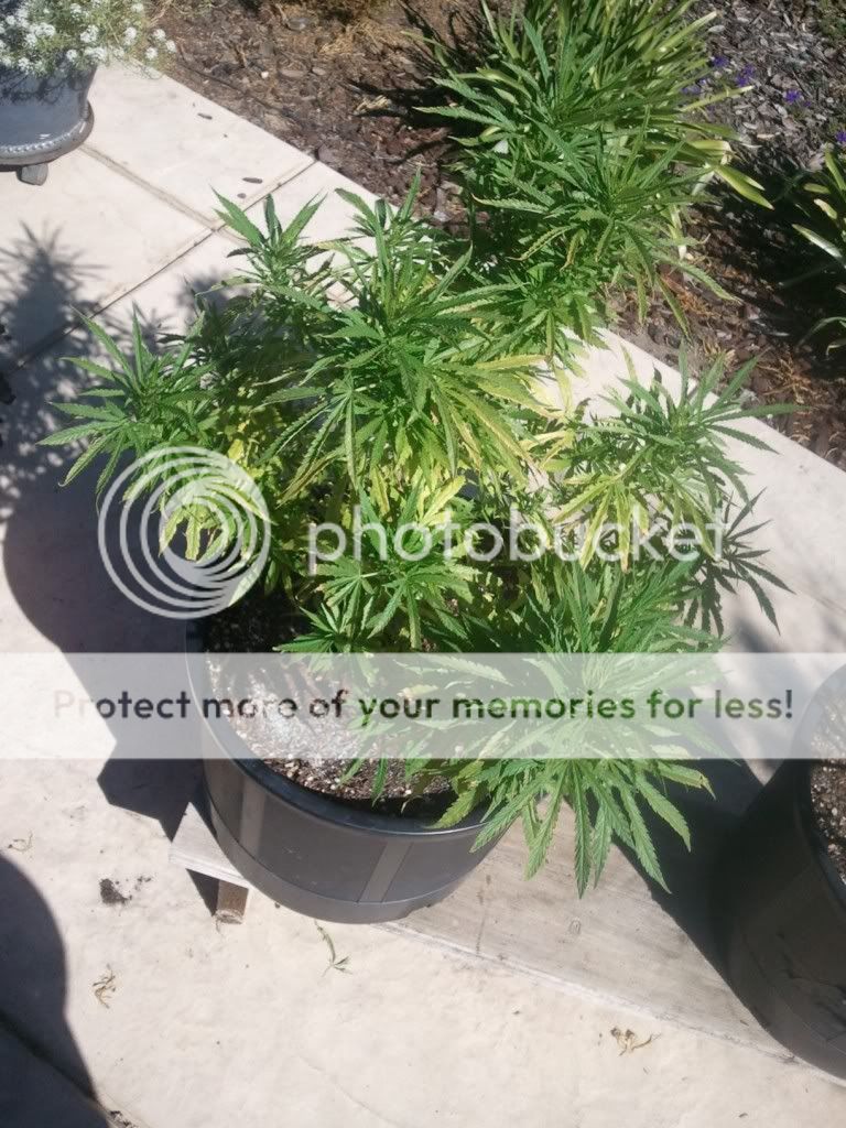 WP_000280.jpg
