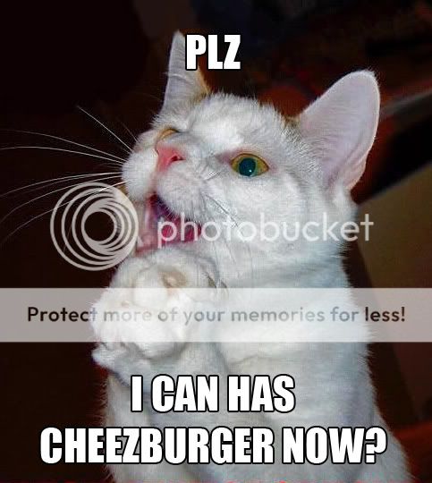 plzcheezburger.jpg