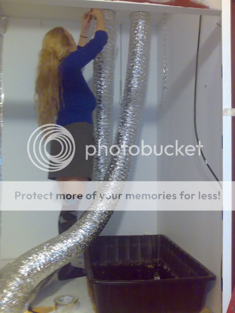 01242010948.jpg