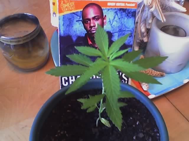 chapelle.jpg