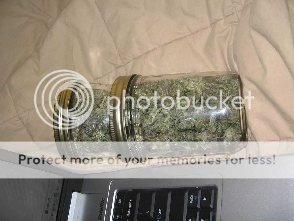 buds005.jpg