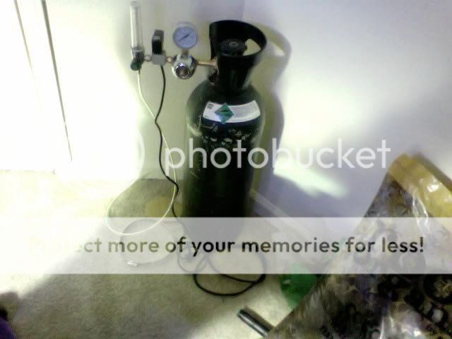 Photo12.jpg