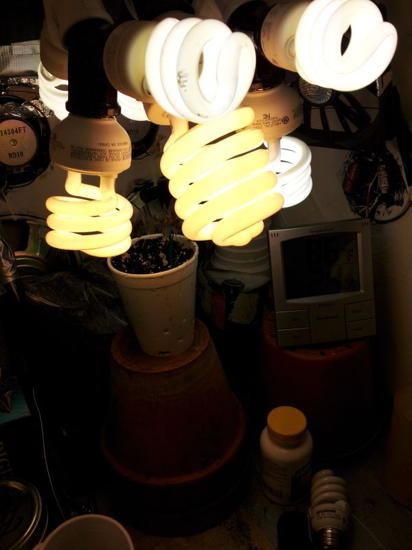 20121115_003010.jpg