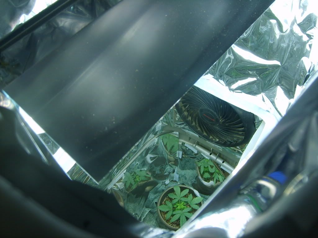 S5000278.jpg