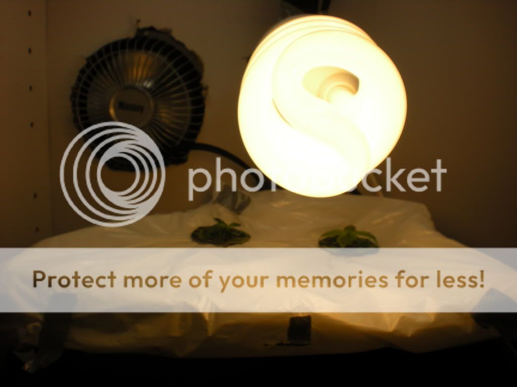 DSCN0212.jpg