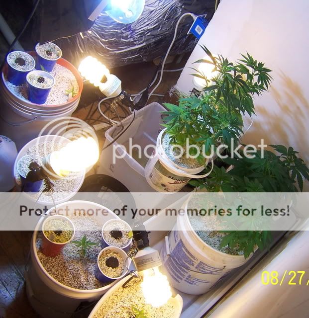 100_0401.jpg